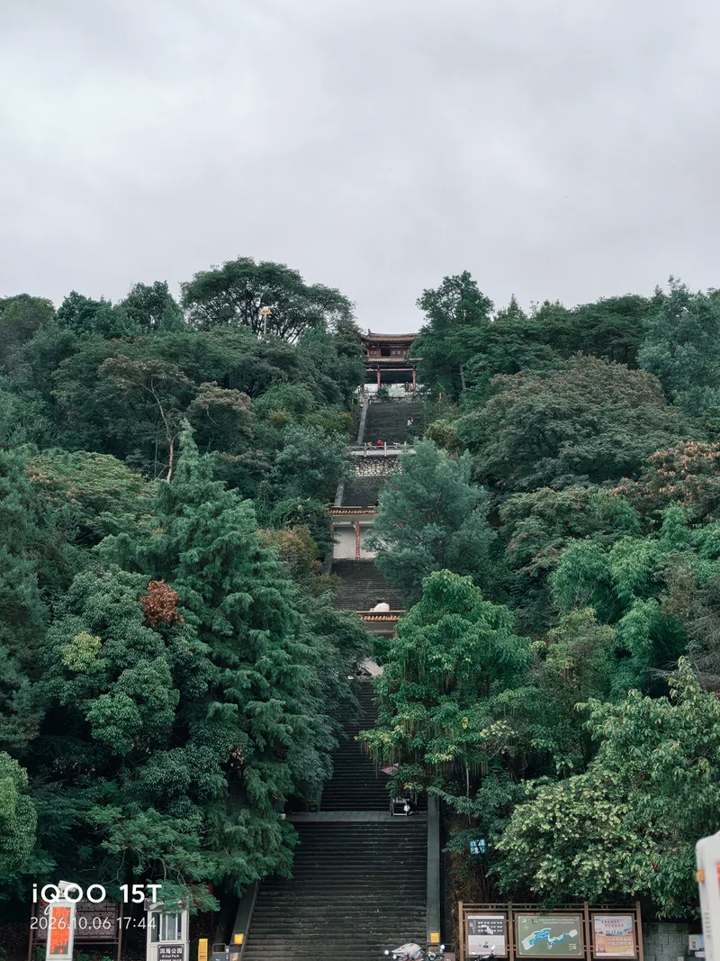 林深见阶