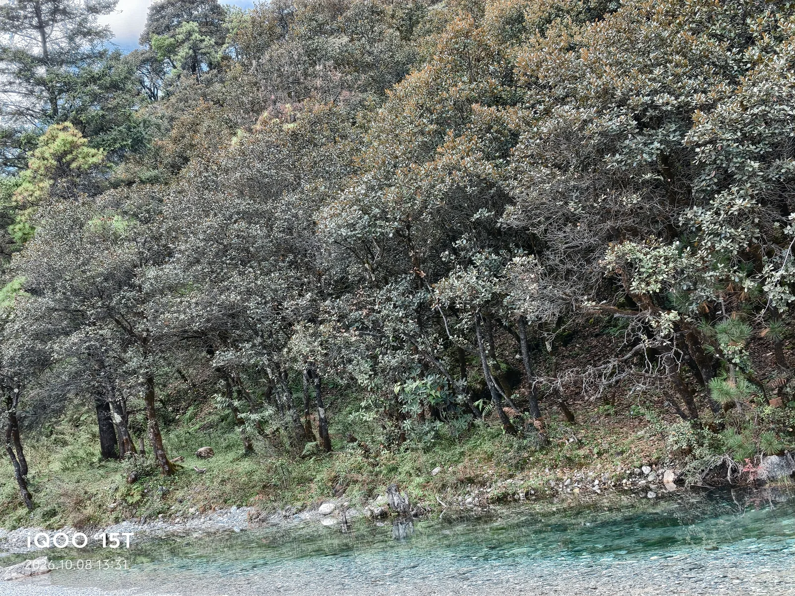 湖畔草坡