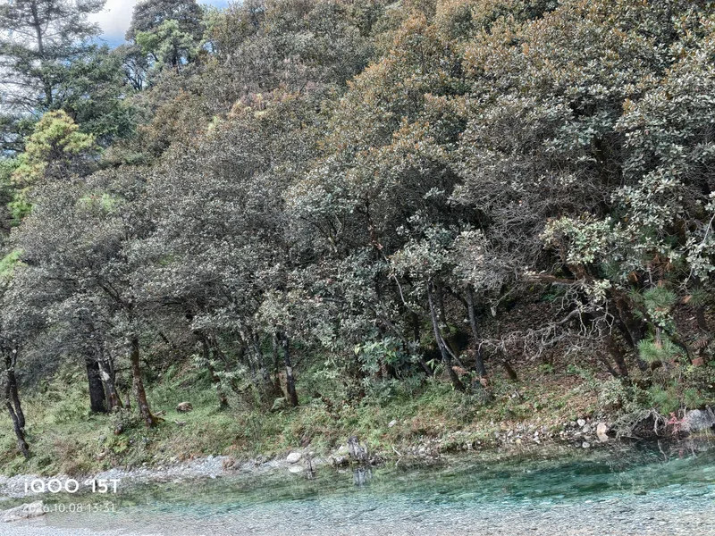 湖畔草坡