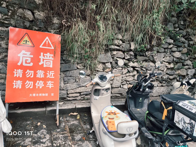 最听劝的车